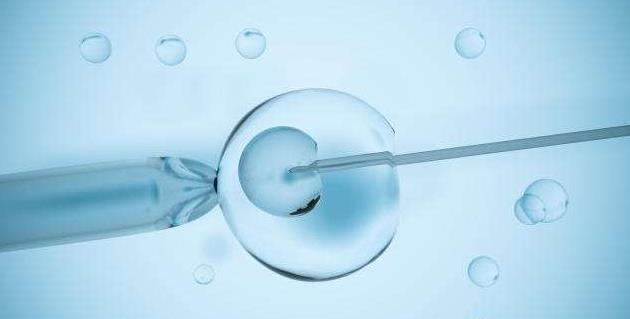 试管婴儿单个囊胚移植有什么好处